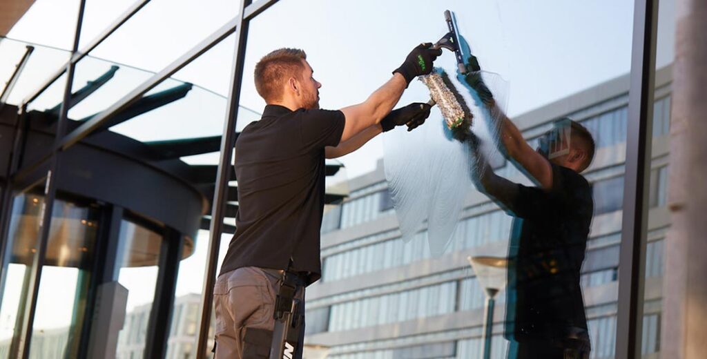 Professional Window Cleaning