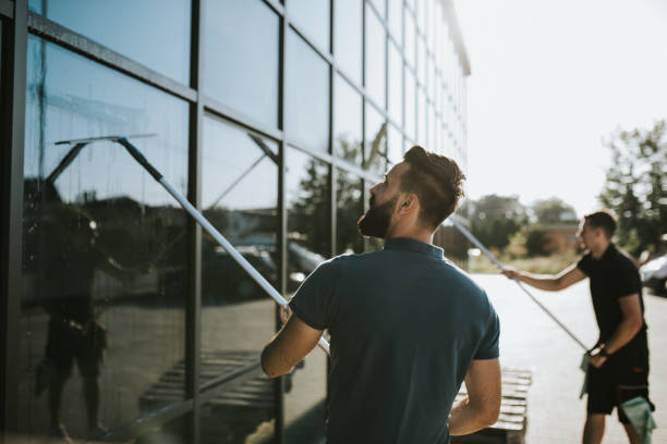 windows cleaning services