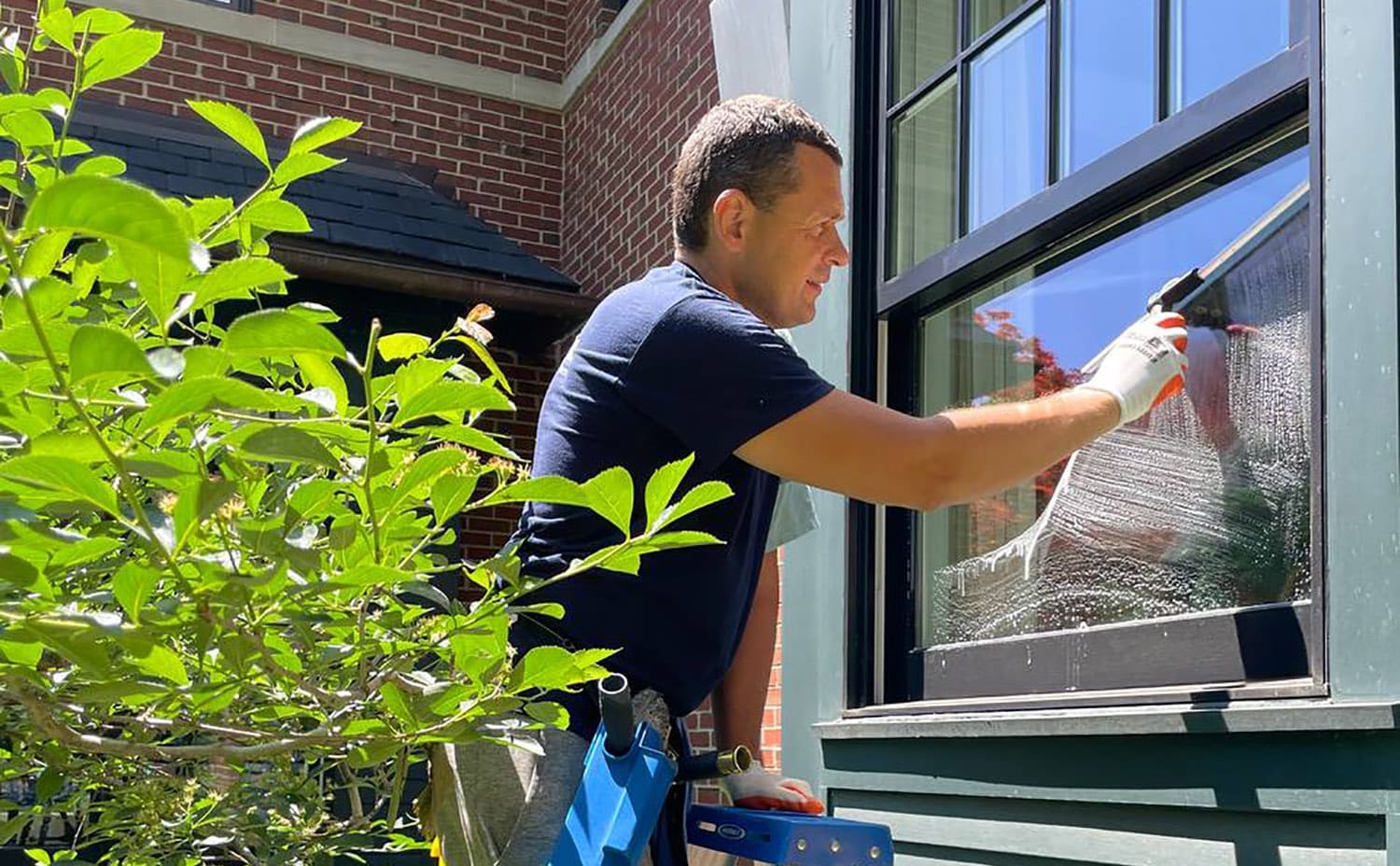 Window cleaning services Window cleaning services